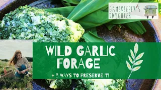 Spring Wild Garlic Forage - + 3 ways to preserve it!  (Butter,Oil,Kimchi)