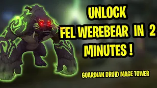 How to Get Druid Fel Werebear Form in 2 minutes | Guardian Druid Mage Tower Boost