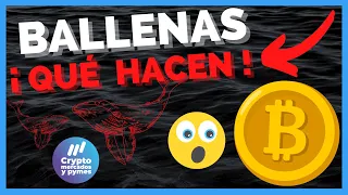 💥Atención💥🔥¿Qué están haciendo las BALLENAS en este momento?🔥| Bitcoin