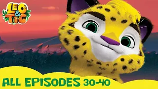 LEO and TIG 🦁 🐯 All epsodes in a row 30-40 ⭐ Cartoons collection 💚 Moolt Kids Toons Happy Bear