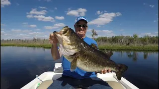 TOP 3 BIGGEST FLORIDA BASS EVER CAUGHT (compilation)