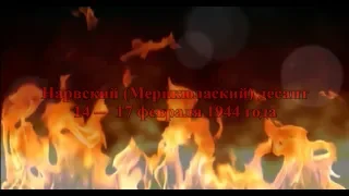 Нарвский Мерикюлаский десант