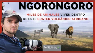 CRÁTER DE NGORONGORO , MÁS DE 25,000 ANIMALES  viven en este CRÁTER AFRICANO | SAFARI EN TANZANIA 🇹🇿