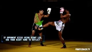 Front Kick Deflect and Counter