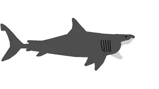 Great White Shark Roaring Sound Effect