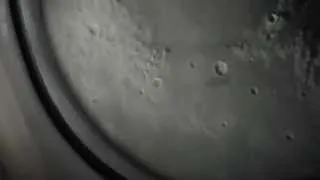 Moon Through Telescope Celestron Celestar C8 | Луна в телескоп