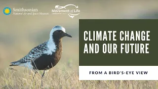 Climate Change and Our Future: From a Bird's-Eye View