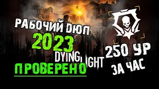 Рабочий дюп dying light 2021 PS4, PC и XBOX. Быстрая прокачка легенды до 250 за час