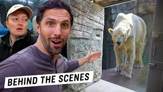 Day in the Life at the World’s Best Zoo