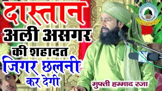 शहादत हजरत अली असगर Shahadat Hazrat Ali Asgar By Mufti Hammad Raza Qadri Pure Jaorai Musafir khana