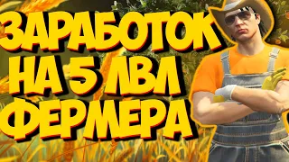 САМЫЙ ПОДРОБНЫЙ РАЗБОР ЗАРАБОТКА НА ФЕРМЕ / ГТА 5 РП