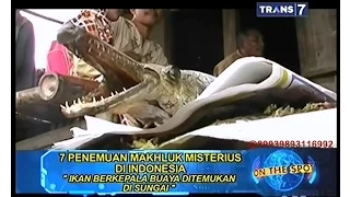 On The Spot - 7 Penemuan Makhluk Misterius di Indonesia