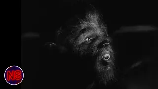 The Werewolf Awakens His Vampire Master | The Return of The Vampire (1943) | Now Scaring