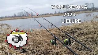 Vimbu sezonas atklāšana Lielupē 2024! Vai lomā var paturēt 7 vimbas un vai Jelgavā jāpērk licences?