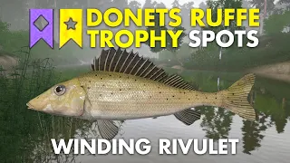 Russian Fishing 4 TROPHY DONETS RUFFE SPOT Winding Rivulet