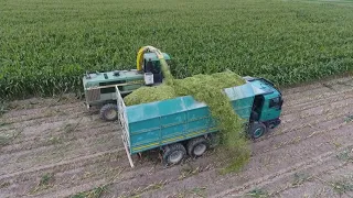 TATRA 815 - HARVEST OF CORN / SILÁŽE KUKUŘICE. JOHN DEERE + JCB.