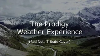 The Prodigy - Weather Experience (Red Nuts Tribute Cover) [Orchestral Breakbeat Music]