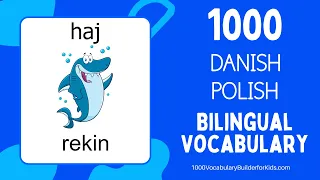 Learn Danish Polish 1000 Bilingual Vocabulary for Beginners   Lære Dansk Polsk