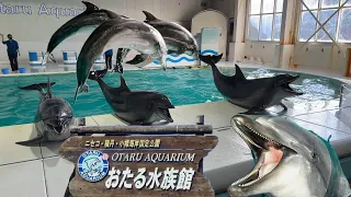 絶対楽しめる！おたる水族館に行ってきました【OTARU AQUARIUM】