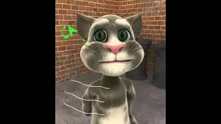 Funny Talking Tom(Who Let The Dogs Out)