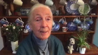 March 20, 2020: A Message of Hope from Dr. Goodall in the Face of COVID-19