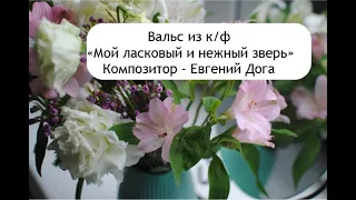 Вальс из к/ф "Мой ласковый и нежный зверь". Евгений Дога.