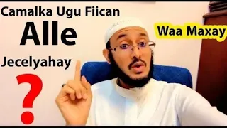 Hadaad Sameyo Camalkan Waxaad Noqoneysaa Qofka Ugu FIICAN! Nabiga (SCW) Ayaa Yiri:: Dr Al-Yamaani