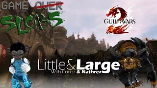 Guild Wars 2 - World vs World (L&L)