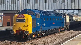 A deltic (Class 55009) flying past Peterborough