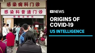 US House votes to declassify COVID origins intelligence | ABC News