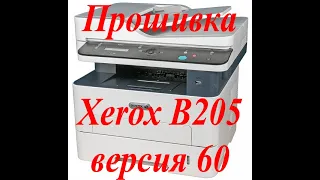 Прошивка МФУ Xerox B205 с понижением 60 версии.  г.Екатеринбург