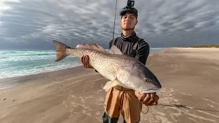 BEACH FISHING FOR BEASTS using live crab and mullet