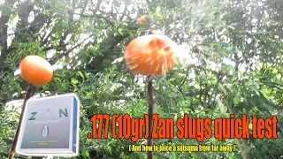 .177 Zan slugs (10 grain) quick test