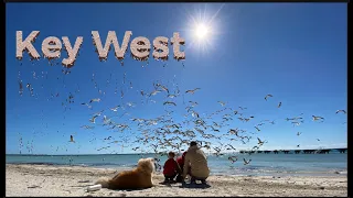 VLOG 16 Ки Уэст Флорида Key West Florida