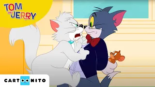 A Tom és Jerry-show | Egérvadászat | Cartoonito