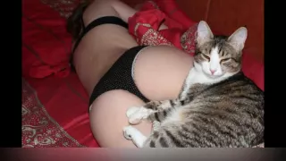 Соблазнительные сексуальные девушки и их кошки! Seductive sexy girls and their cats!