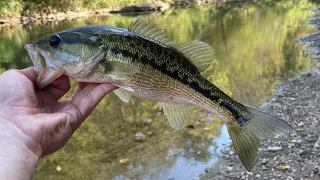 Fall Wade Fishing After Work