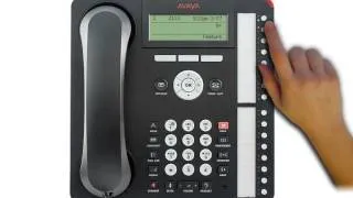 Avaya 1416 & 1616 on IP Office - Hold and Transfer