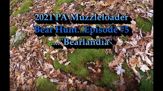 2021 PA Muzzleloader Bear Hunt....Episode #5