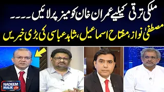 Mustafa Khokhar , Shahid Khaqan Abbasi , Miftah Ismail Gives Big News in Nadeem Malik Live Show