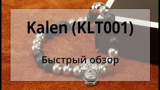 Мужской браслет с черепом и натуральными камнями Kalen (KLT001). Быстрый обзор.
