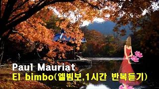 Paul Mauriat · El bimbo(엘빔보,1시간 반복듣기)