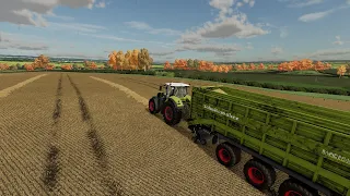 FS 22 Shire Farm (Journey to 2000 Dairy Cows) * 10 * Straw Collection & Storage, Sowing Wheat