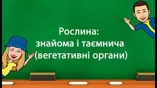 Рослина знайома і таємнича вегетативні органи (5 клас «Природничі науки» НУШ)