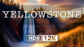 Yellowstone Wyoming HDR 8k 60fps Dolby Vision