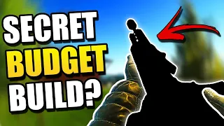 You NEED to Try this SECRET Budget Build in Escape from Tarkov!