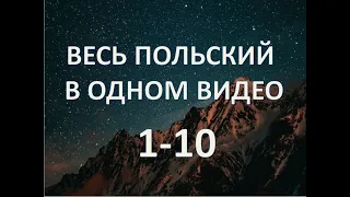 Весь польский за 100 уроков / Польские слова и фразы / Польский с нуля / 1-10 аудиоурок#polski