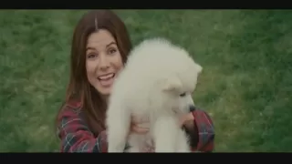 The Proposal - Scene with Kevin the Dog