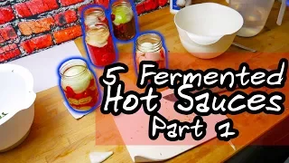 Fermenting some of the hottest peppers in the world! Part 1