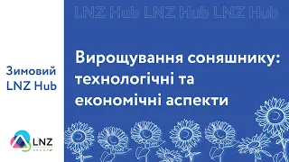 Вирощування соняшнику: технологічні та економічні аспекти / LNZ Hub / СуперАгроном